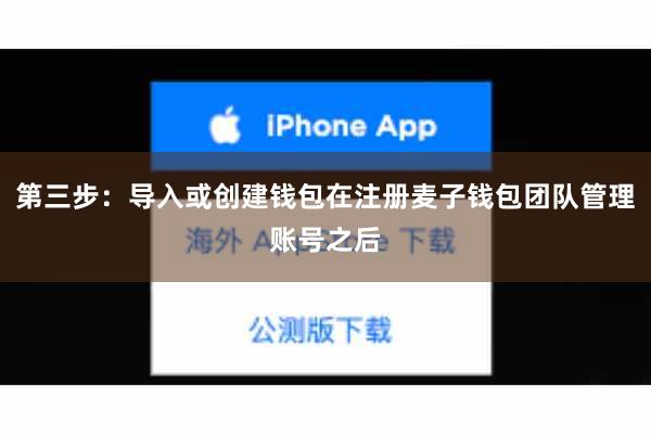 第三步:导入或创建钱包在注册麦子钱包团队管理账号之后