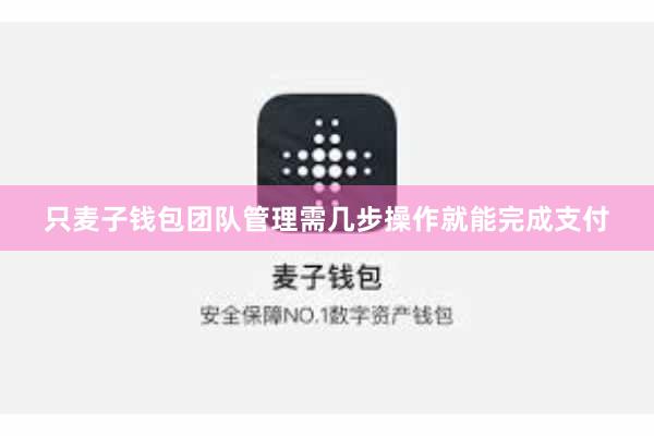 只麦子钱包团队管理需几步操作就能完成支付
