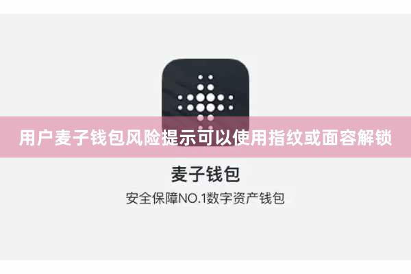 用户麦子钱包风险提示可以使用指纹或面容解锁