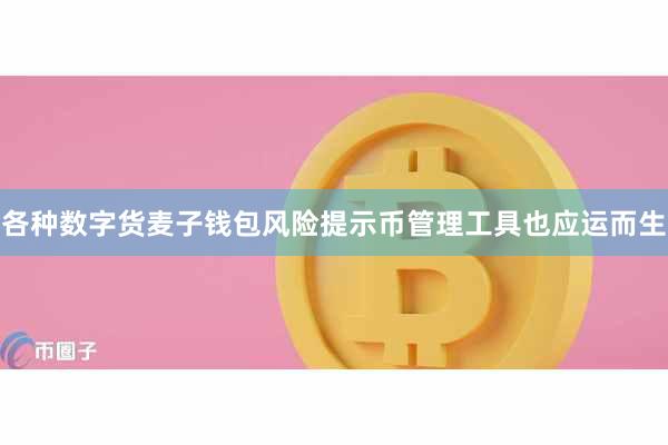 各种数字货麦子钱包风险提示币管理工具也应运而生