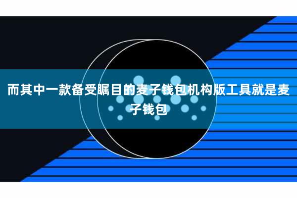 而其中一款备受瞩目的麦子钱包机构版工具就是麦子钱包