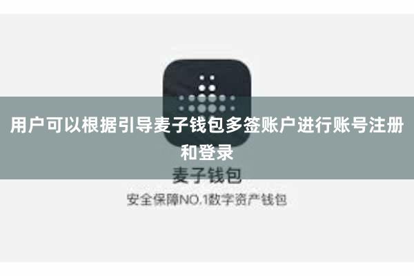 用户可以根据引导麦子钱包多签账户进行账号注册和登录