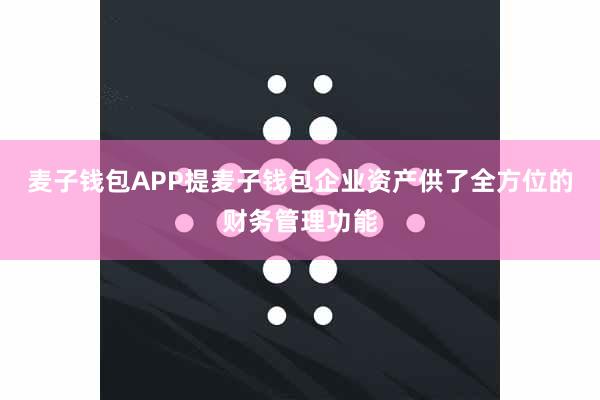 麦子钱包APP提麦子钱包企业资产供了全方位的财务管理功能