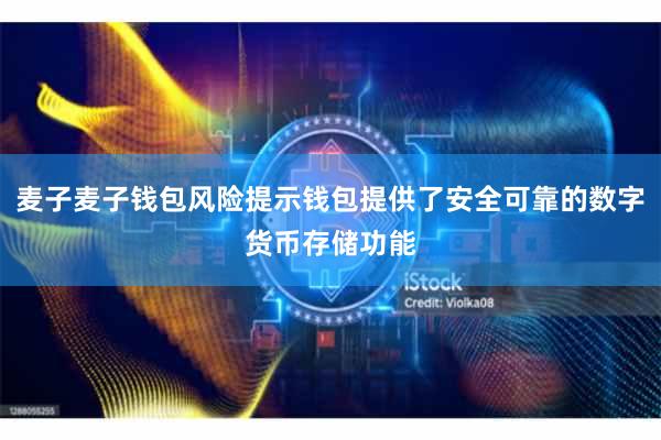 麦子麦子钱包风险提示钱包提供了安全可靠的数字货币存储功能