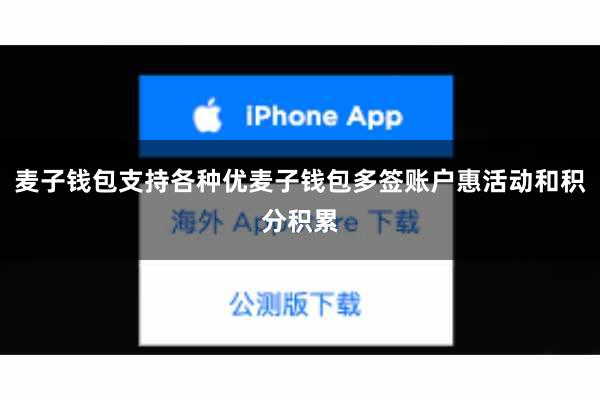 麦子钱包支持各种优麦子钱包多签账户惠活动和积分积累