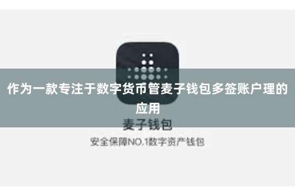 作为一款专注于数字货币管麦子钱包多签账户理的应用