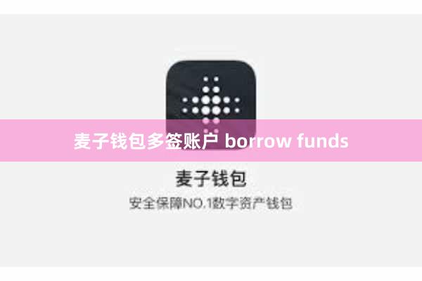 麦子钱包多签账户 borrow funds