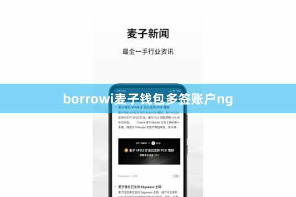 borrowi麦子钱包多签账户ng