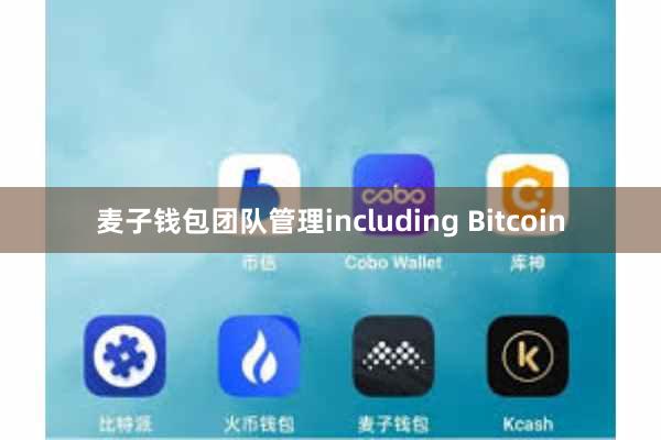 麦子钱包团队管理including Bitcoin