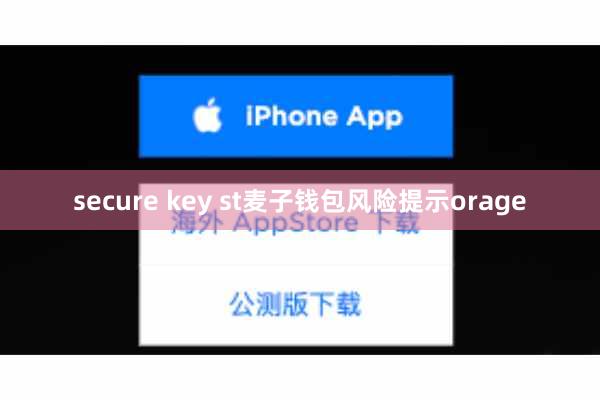 secure key st麦子钱包风险提示orage