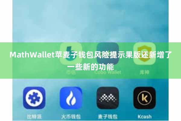 MathWallet苹麦子钱包风险提示果版还新增了一些新的功能