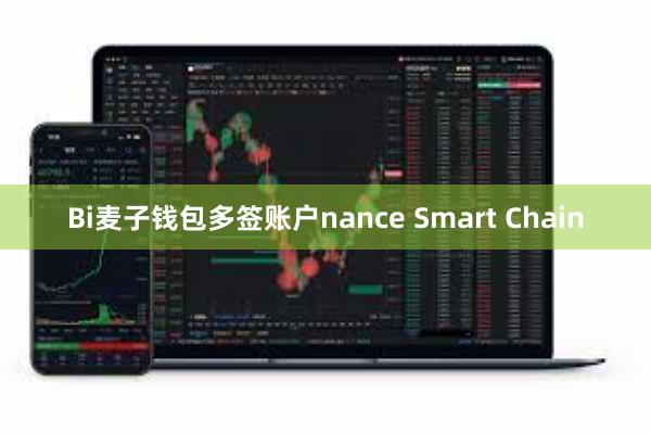 Bi麦子钱包多签账户nance Smart Chain