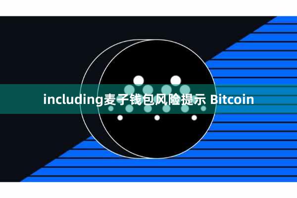 including麦子钱包风险提示 Bitcoin