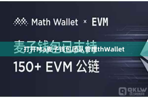 打开Ma麦子钱包团队管理thWallet