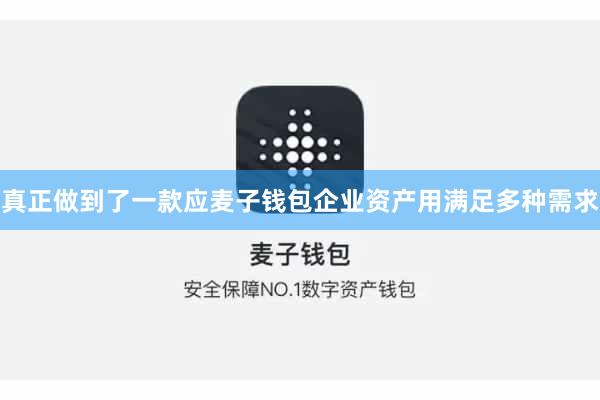 真正做到了一款应麦子钱包企业资产用满足多种需求