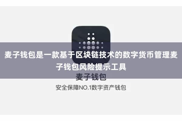 麦子钱包是一款基于区块链技术的数字货币管理麦子钱包风险提示工具