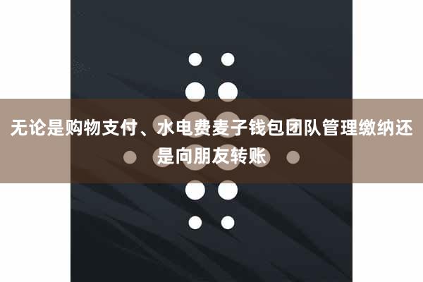 无论是购物支付、水电费麦子钱包团队管理缴纳还是向朋友转账