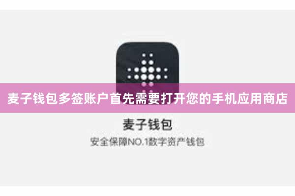 麦子钱包多签账户首先需要打开您的手机应用商店