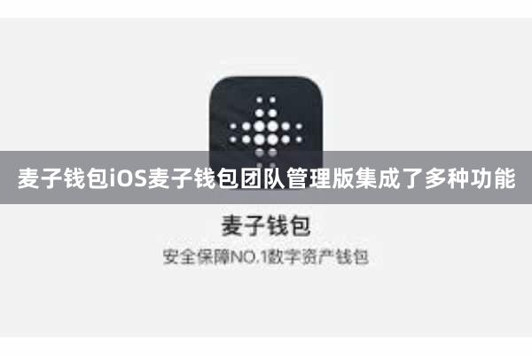 麦子钱包iOS麦子钱包团队管理版集成了多种功能