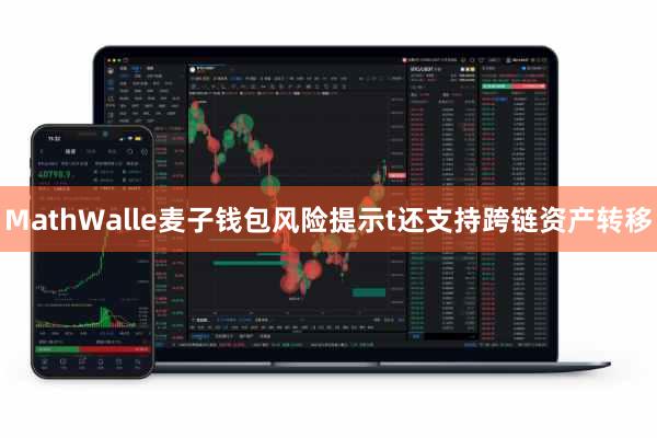 MathWalle麦子钱包风险提示t还支持跨链资产转移