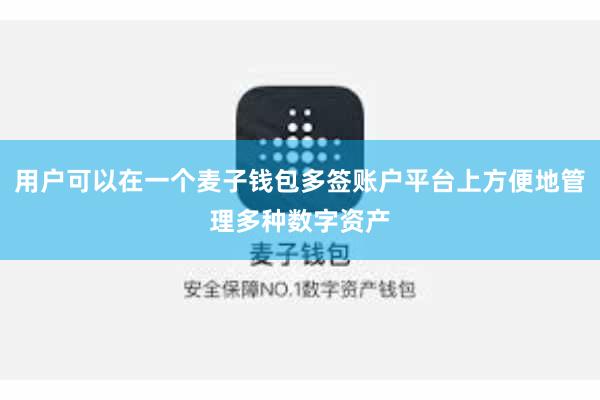 用户可以在一个麦子钱包多签账户平台上方便地管理多种数字资产